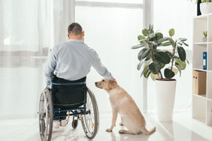 hospice patient petting dog