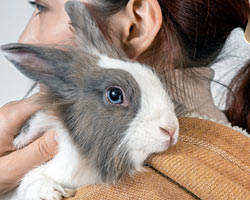 caregiver with therapy bunny