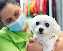 caregiver with therapy dog