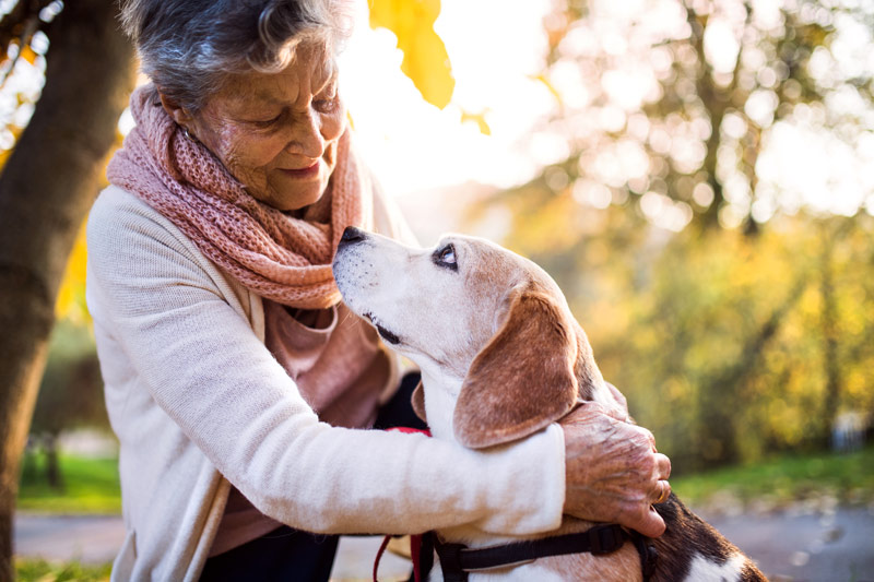 patient with pet